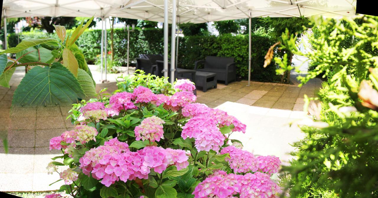 Hotel De France Lillebonne ภายนอก รูปภาพ